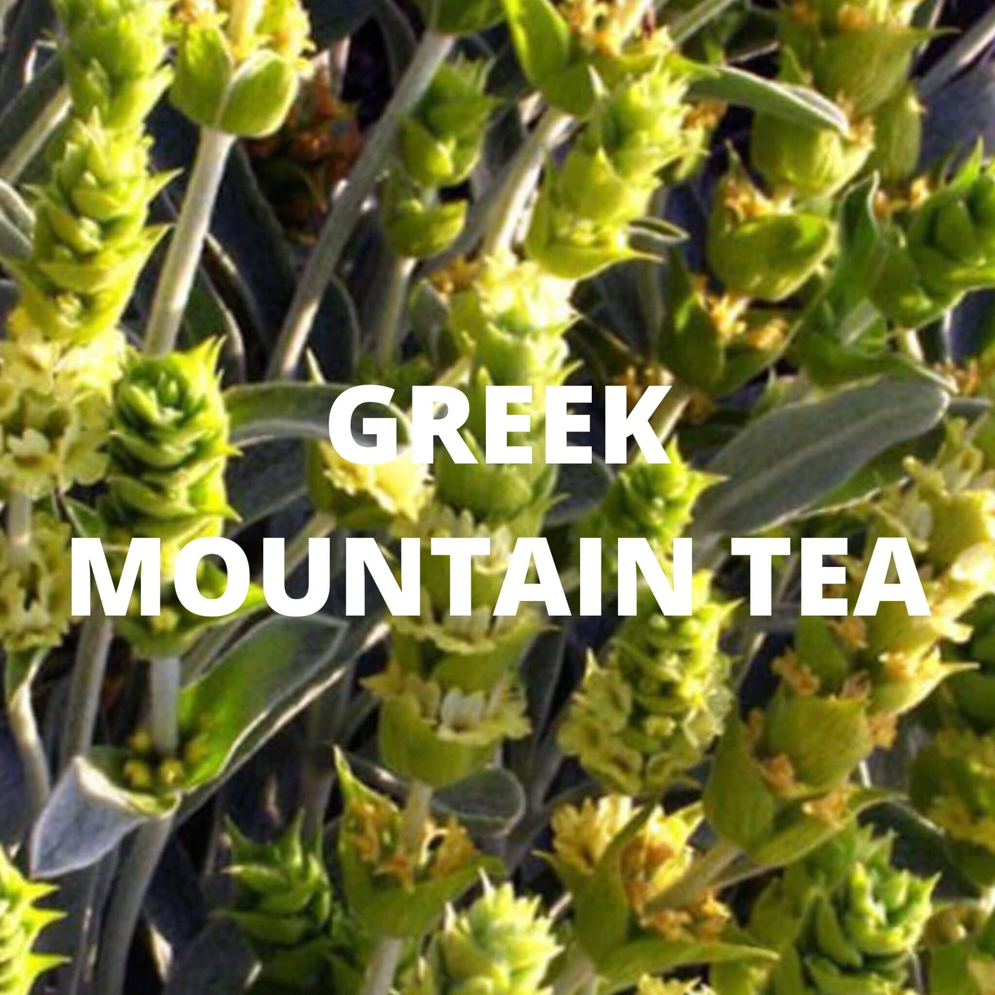 Santorini Tea